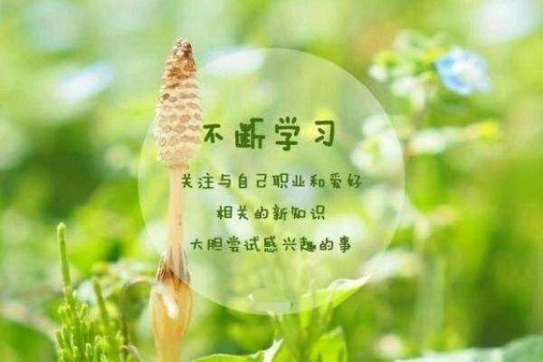 炉中火命人的职业与人生优势探索