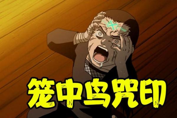 命运鸟：自由与希望交织的生命之歌