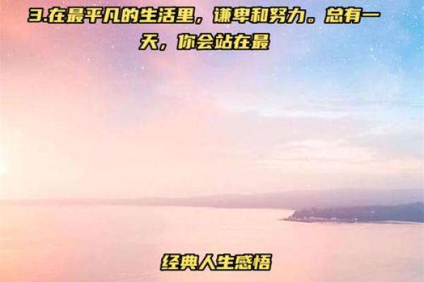 命不从天，奋斗出精彩人生的真谛