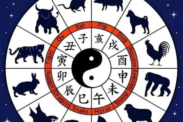 年属鸡的是什么命：解析1981年、1993年、2005年鸡命人的命理特点与性格