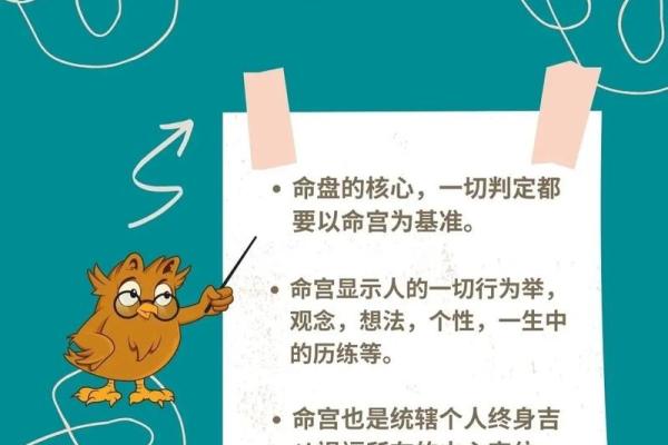 命宫之命：解密命运背后的玄机与应用