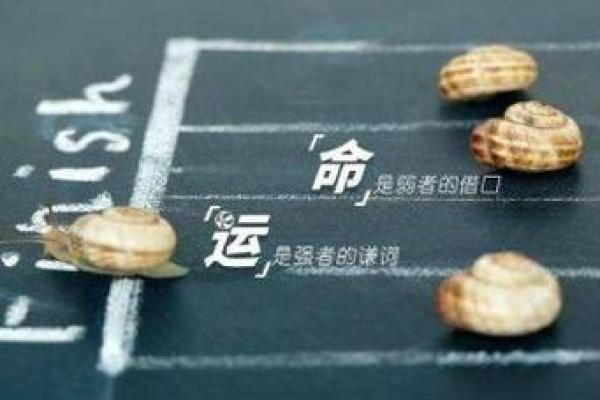 了解命理：如何解读4.6两的命与其生活特点