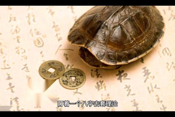 命局杀气太重，揭示命理中的隐秘力量与调和之道