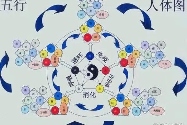 男土命与其他命理的完美搭配分析