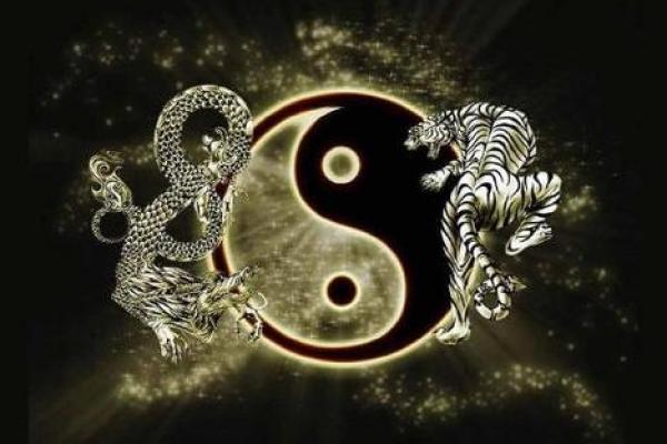 揭秘懵懂命格的深层意义与影响力