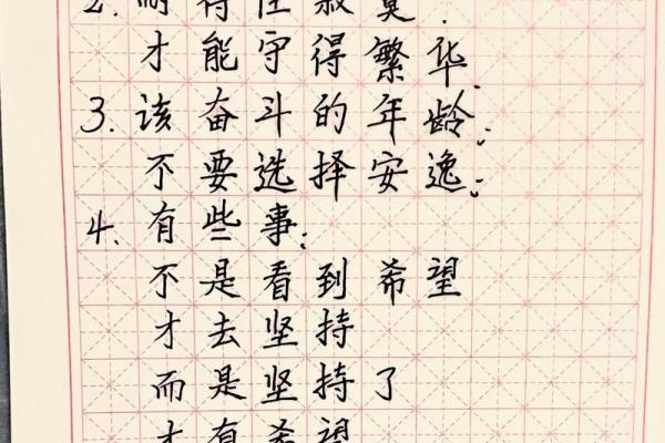 没有安逸的命：探索生活中的奋斗与成长