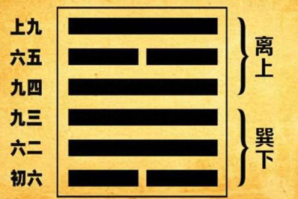 探寻木命的强大之源：哪种木最具力量？