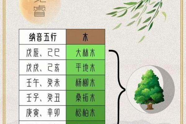 98年出生的你，究竟是何五行命？解析命理与人生！
