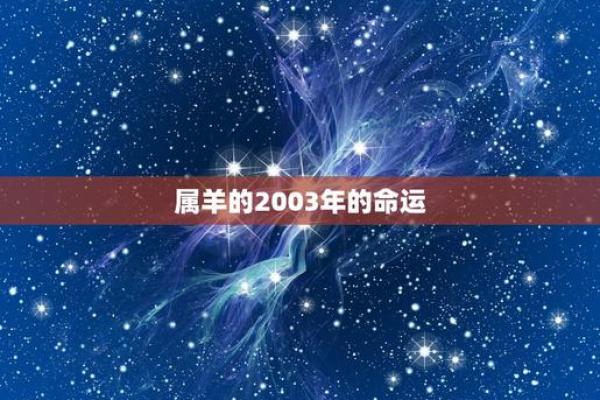 年命落中宫的意义与影响解析