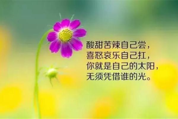 凌晨6点出生的人命运解析：潜能与挑战并存的人生旅程