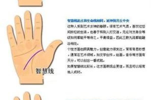 六十岁男人的命理解析：寻求生命的智慧与方向