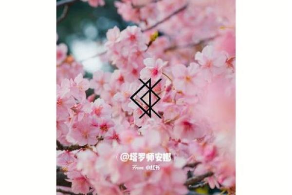 命犯桃花煞：揭开命理中桃花运的神秘面纱