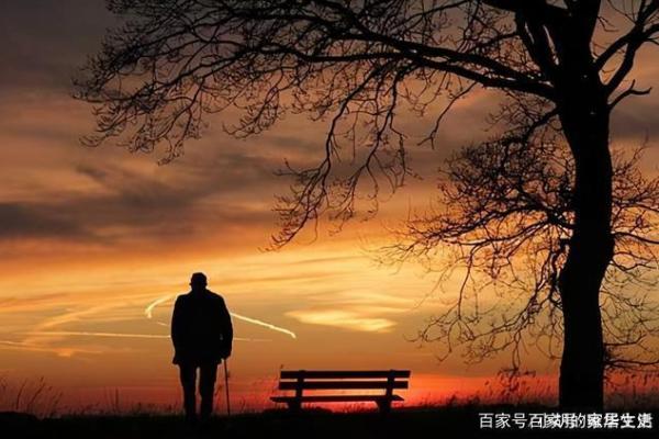 如何选择偏官格男命的理想伴侣，助你找到人生的真爱！