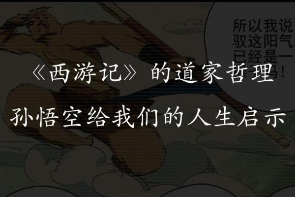 命卦对人生的深远影响与智慧启示