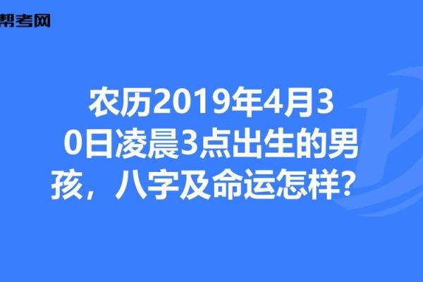 农历9月十一出生男孩的命运解析与人生建议