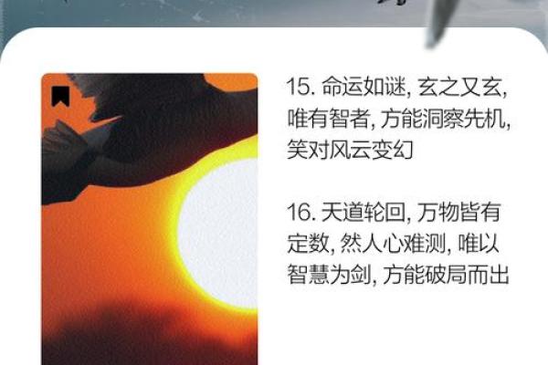 命理分析：揭开“寅垣”之秘与人生智慧