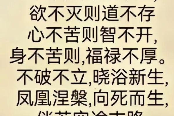 命不归则命不去：探寻命运与选择的深刻之道