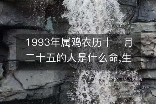 六九年出生属鸡，五行命理解析与人生启示
