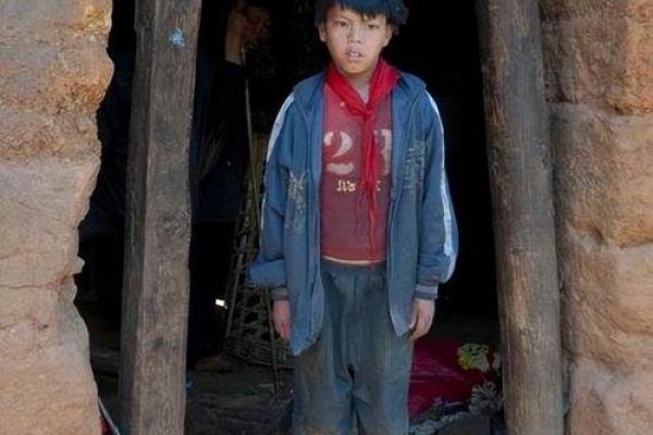 农村人的命运：在土地与梦想间的坚守与追寻