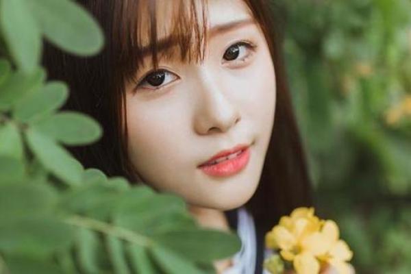从命理看桃花劫：揭开男命的情感迷雾之谜