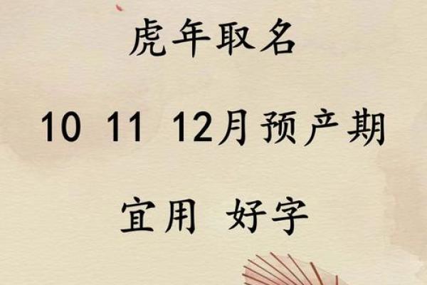 卯时出生的虎宝宝：命运与性格的奇妙探秘