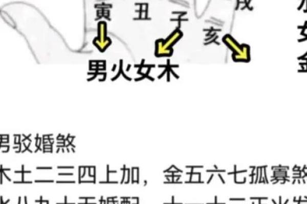 木命与金命：如何选择生宝宝的最佳方式？