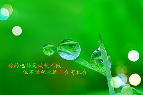 命卦之说：南方命运的深刻解析与人生智慧