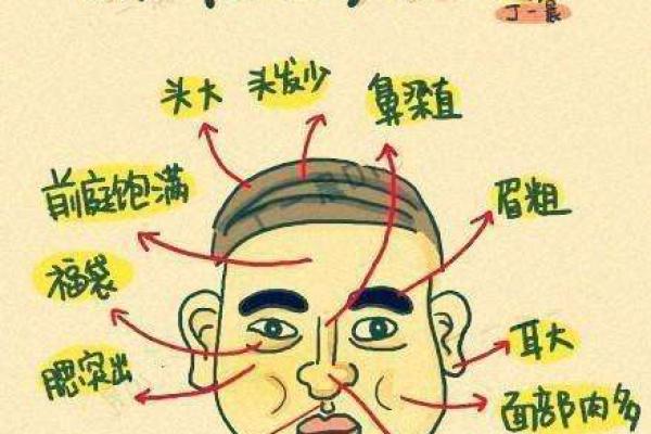 面相与性格分析：暴躁与温和命格的深层次联系