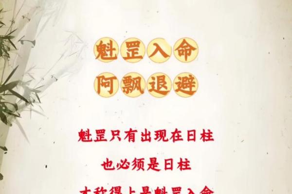 命理揭秘：了解命运背后的人生密码，如何利用命好增添生活的光彩