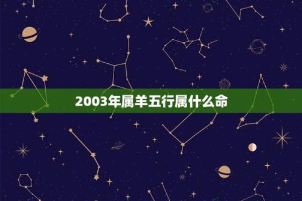 破解命理之谜：九一年属羊五行命理大揭秘！