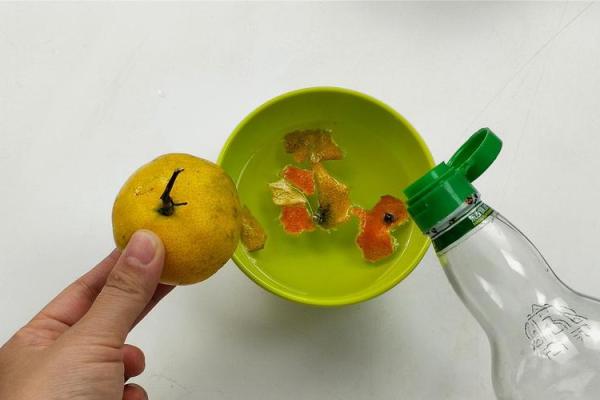 命里水太多如何调节？生活中的五大建议与实用技巧