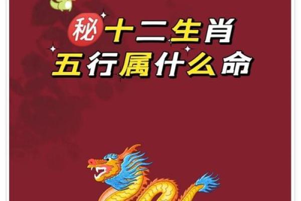 木命牛适合与哪些命相配，探索最佳搭配之道