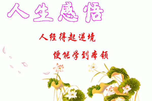 巽卦女命的魅力：迎风而行的智慧与力量