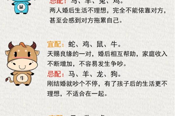 2024年五月出生的虎宝宝命运解析：运势、性格与家庭关系