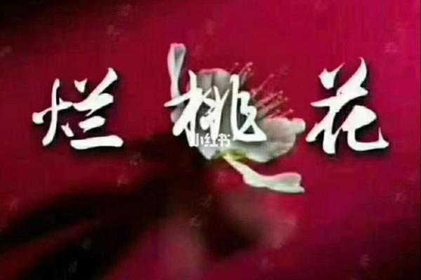 命犯桃花煞，爱情运势如何变化与应对之法