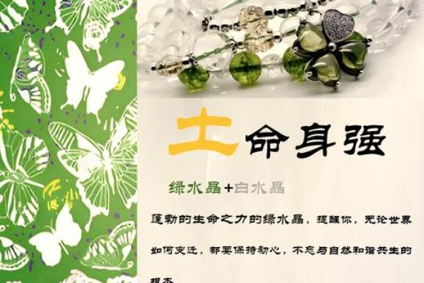 路旁土命解析：如何提升土命的运势与幸福感