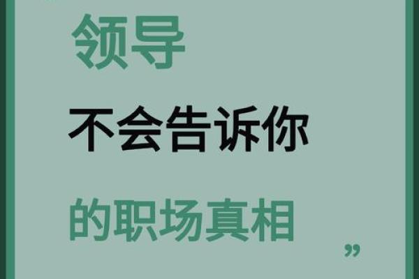 命格四命的深意与影响：探寻人生的奥秘与发展之路