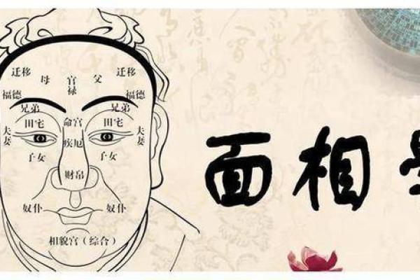 免费查命格，轻松知道你的生肖及命运奥秘！