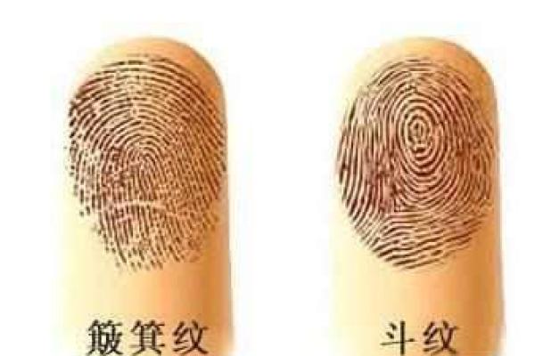 命运的双面：富贵命与劳碌命的细腻探讨