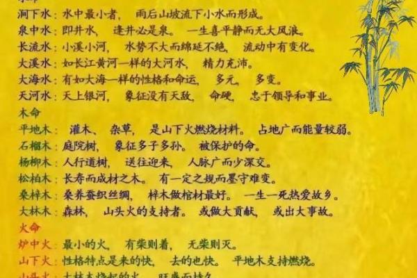 2024年1月五行命理解析：了解五行属相对人生的影响与启示