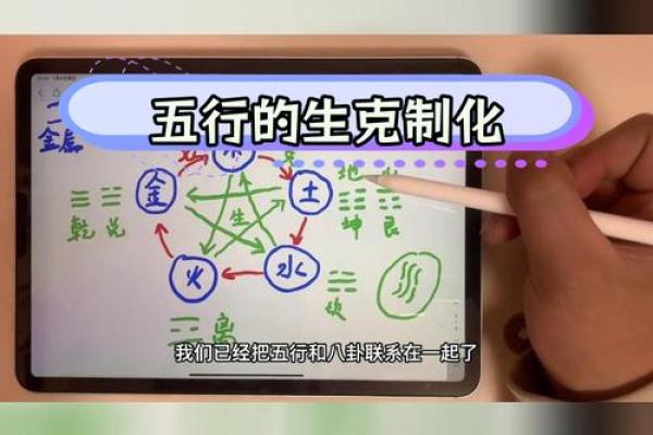 2024年1月五行命理解析：了解五行属相对人生的影响与启示