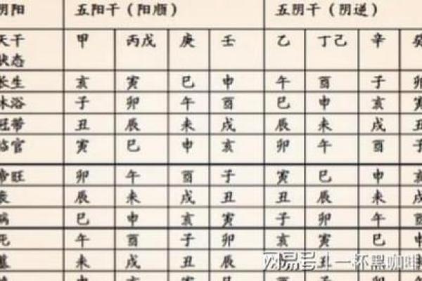 卯年桃花旺：命理分析与人生启示
