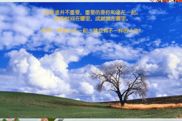命主未入正官格的深层解析与人生启示