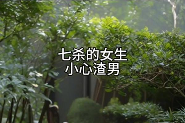 命格七杀：探秘命理中的争斗与突破之道