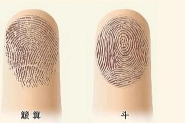 女生手上有九个斗，这是什么命运与特点？