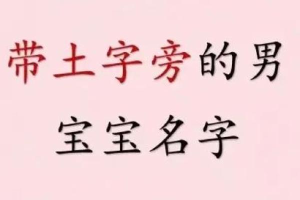 如何为路旁土命人起个合适又好听的名字？一起来探讨一下吧！