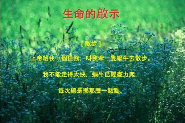 年命逢天芮的深刻意义与人生启示