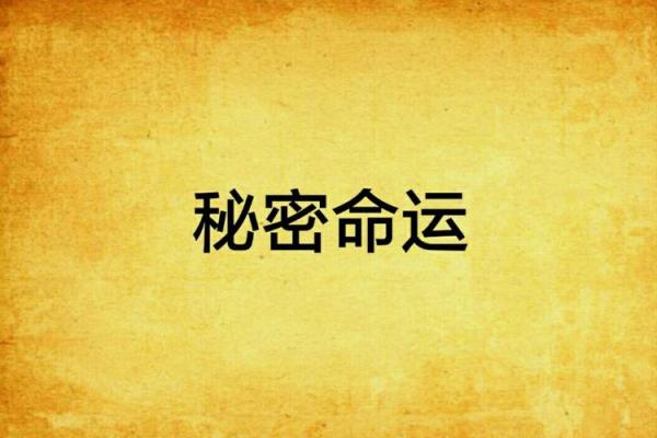 农历九日十五：揭示你命运的秘密与启示