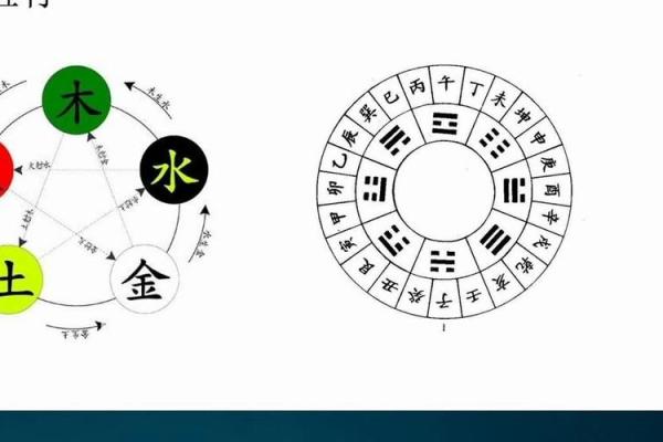 探寻九四年和九八年的属相命理奥秘