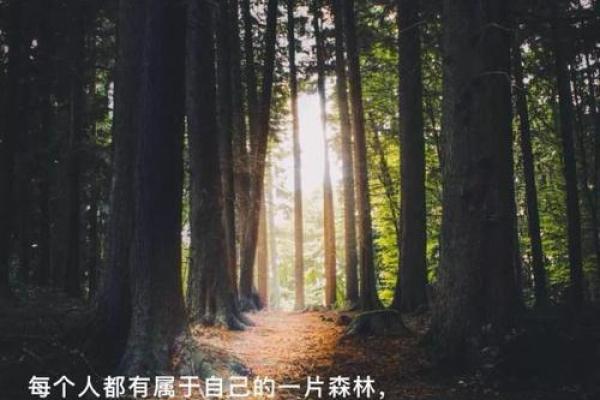 木火命八字特点解析：从命理看生命的热情与活力